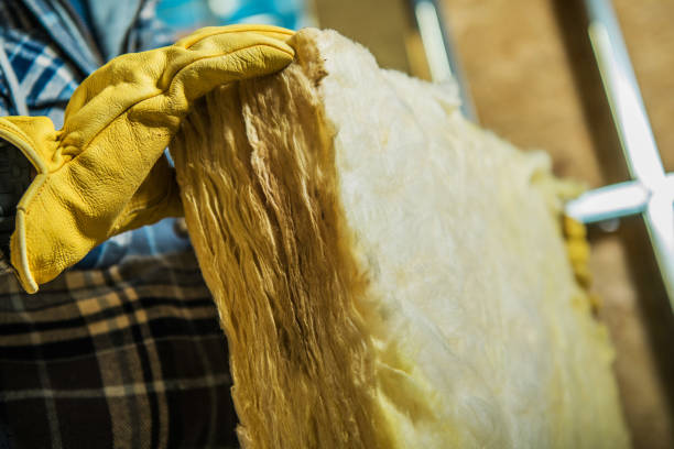Best Energy-efficient Insulation  in Camano, WA