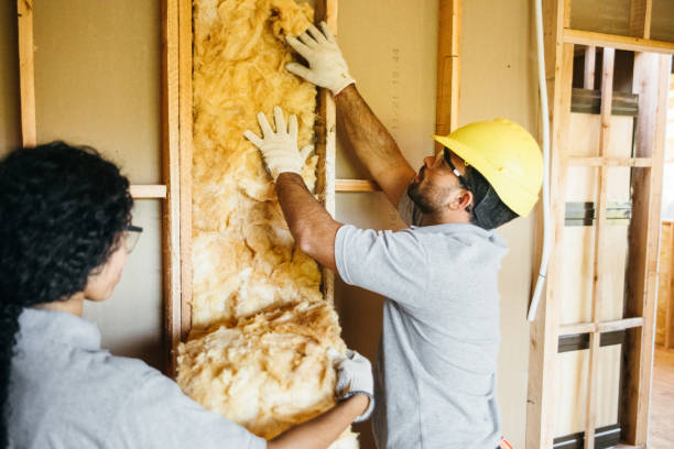 Best Local Insulation Services  in Camano, WA