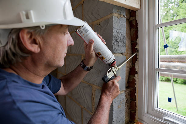 Best Insulation Repair Services  in Camano, WA