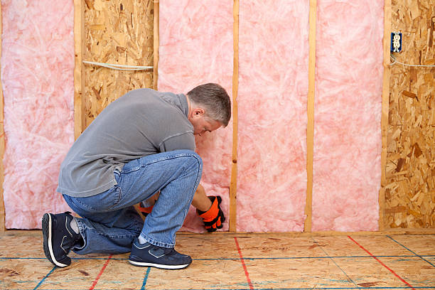 Best Attic Insulation Installation  in Camano, WA